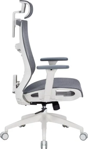 Фото: Крісло OfficePro Balance OC620 White/Dark Gray (OC620-W-DG-DG) № 22 | KTC