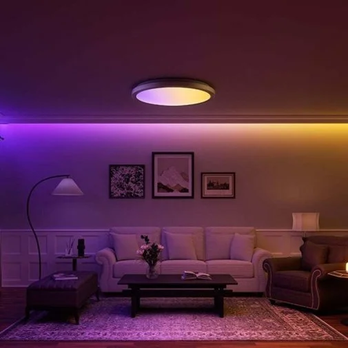 Фото: Світильник Yeelight Ceiling Light Jupiter D500 Brushed Grey (YLXDD-0271) № 7 | KTC