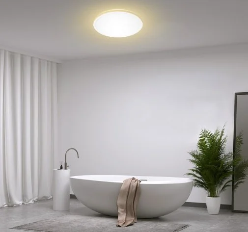 Фото: Світильник Yeelight Smart LED Ceiling Light 300C White (YLXDD-0033) № 18 | KTC
