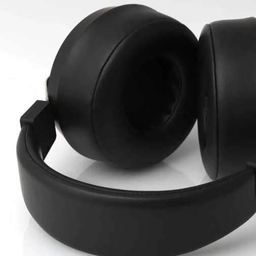 Навушники Final Audio DX3000 CL Black (90404208)
