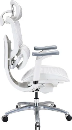 Фото: Крісло SIHOO C300 Lite V2 White (C300-LITE-V2-B102) № 24 | KTC