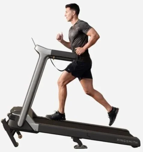 Фото: Бігова доріжка KingSmith WalkingPad Treadmill WP500L5 (G5I) № 15 | KTC