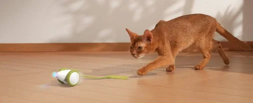 Фото: Інтерактивна розумна іграшка-мишка для котів Cheerble Wicked Mouse Green (CWJ03G) № 20 | KTC