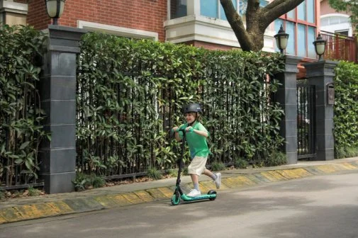 Фото: Електросамокат Ninebot by Segway A6 (AA.00.0011.62) № 11 | KTC
