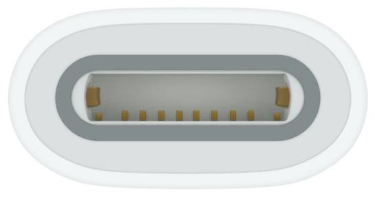 Перехідник Apple A2869 USB-C to Apple Pencil Adapter (MQLU3)