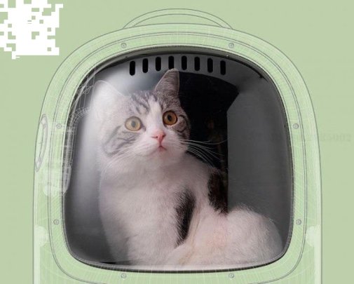 Рюкзак-переноска PETKIT BREEZY Cat Travel Bag Green