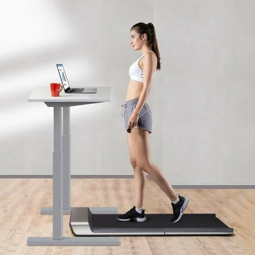 Фото: Бігова доріжка Kingsmith Walkingpad&Treadmill R1 Pro Silver № 18 | KTC