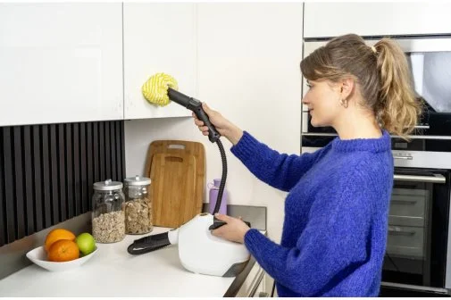 Фото: Пароочисник Karcher SC 1 Multi Comfort White (1.516-416.0) № 10 | KTC
