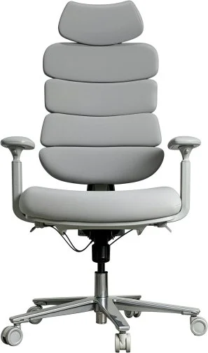 Фото: Крісло OfficePro FlexCore OC120G Grey № 17 | KTC