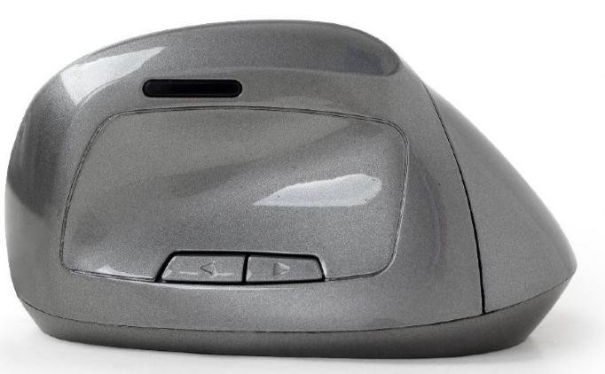 Мишка, Gembird MUSW-ERGO-02 Wireless, Silver