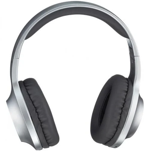 Фото: Навушники Panasonic RB-HX220BEES Grey № 9 | KTC