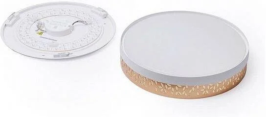Фото: Смарт-світильник Yeelight Flamia Ceiling Light 450mm 50W 2500-5500K Gold (YLXD29YL) № 9 | KTC