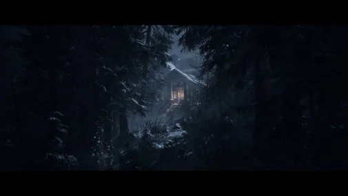 Фото: Гра Until Dawn PS5 Blu-ray № 15 | KTC