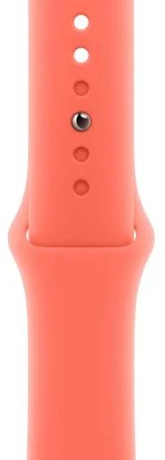 Фото: Ремінець Apple for Apple Watch 42mm - Sport Band Tangerine - S/M (MDRY4) № 6 | KTC