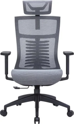 Фото: Крісло OfficePro Balance OC620 Black/Dark Gray (OC620-B-DG-DG) № 19 | KTC