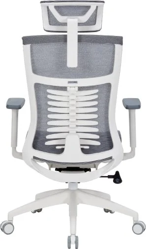 Фото: Крісло OfficePro Balance OC620 White/Dark Gray (OC620-W-DG-DG) № 20 | KTC