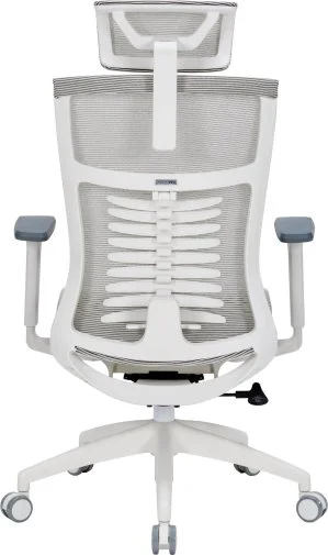 Фото: Крісло OfficePro Balance OC620 White/Ligth Gray (OC620-W-LG-LG) № 20 | KTC