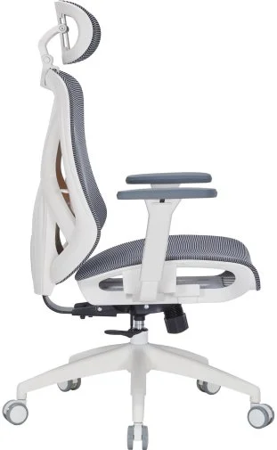 Фото: Крісло OfficePro Atlas OC630-W-DG-DG White/Dark Gray № 23 | KTC