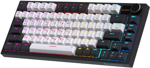 Фото: Клавіатура GamePro Genesis Asgard Valhalla Pro MK160W-D-Pro Rainy Switches White № 16 | KTC