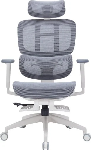 Фото: Крісло OfficePro Skyline Footrest OC750 White/Dark Gray (OC750-W-DG-DG) № 23 | KTC