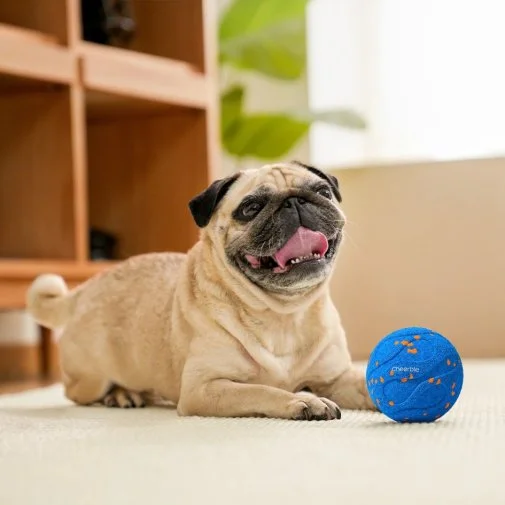 Фото: Інтерактивний розумний м'яч для собак Cheerble Wicked Ball Air Neo Royal Blue (CWQ09B) № 11 | KTC