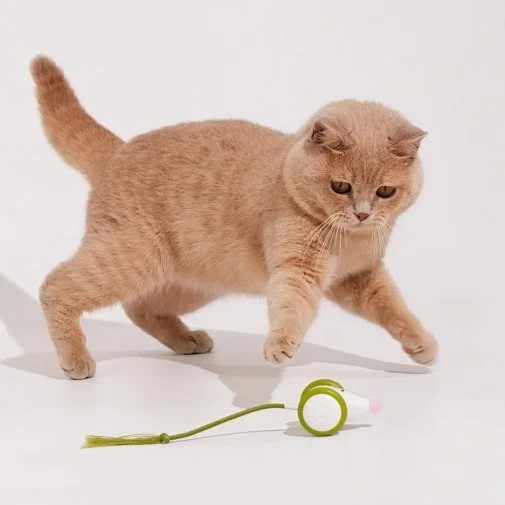 Фото: Інтерактивна розумна іграшка-мишка для котів Cheerble Wicked Mouse Green (CWJ03G) № 17 | KTC