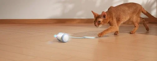 Фото: Інтерактивна розумна іграшка-мишка для котів Cheerble Wicked Mouse Blue (CWJ03B) № 32 | KTC