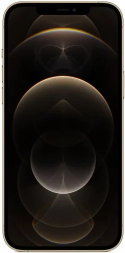 Фото: Смартфон Apple iPhone 12 Pro Max 256GB Gold (MGDE3) № 11 | KTC