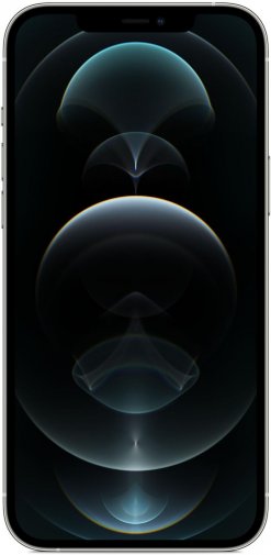 Смартфон Apple iPhone 12 Pro Max 128GB Silver