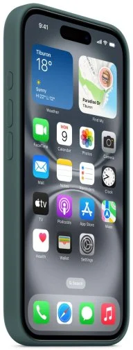 Фото: Чохол Apple for iPhone 16 - Silicone Case with MagSafe Lake Green (MYY83) № 13 | KTC
