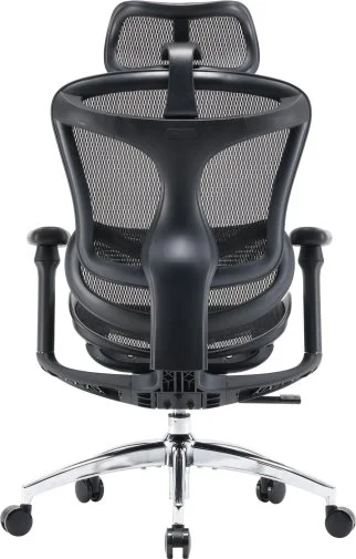 Фото: Крісло SIHOO Doro C300L Black (DORO-C300L-A3-101) № 22 | KTC