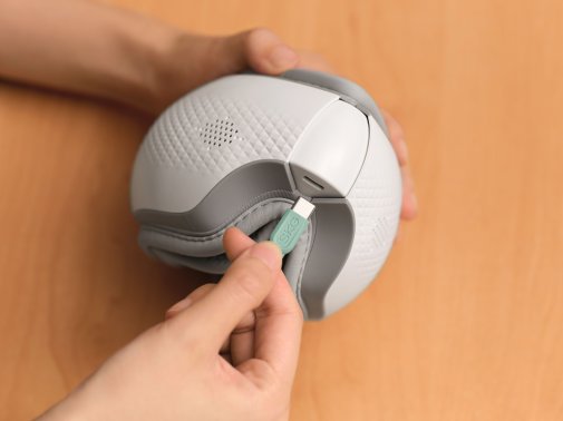 Масажер SKG ES300 (1163745)