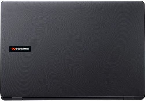 Ноутбук Acer ENLG81BA-C6JU (NX.C44EU.007)