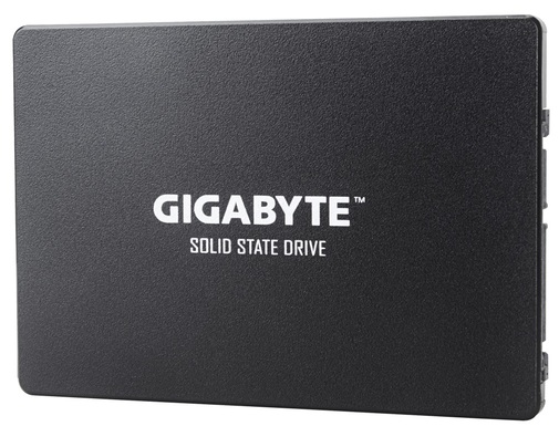 Твердотільний накопичувач Gigabyte 256GB GP-GSTFS31256GTND
