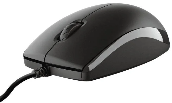 Фото: Комплект клавіатура+миша Trust Primo UA USB Black (24521_TRUST) № 9 | KTC