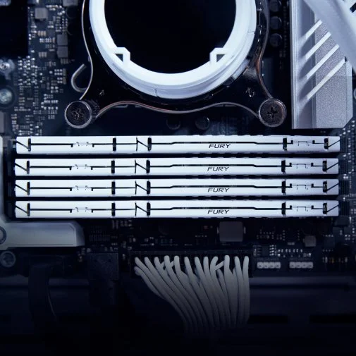 Фото: Оперативна пам’ять Kingston FURY (ex. HyperX) Beast EXPO White DDR5 1x16GB (KF568C34BWE-16) № 10 | KTC
