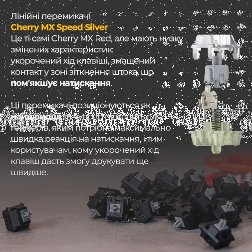 Фото: Клавіатура Ducky One 3 Cherry MX Speed Silver RGB ENG/UKR Black (DKON2108ST-PUAPXCLAWSC1) № 22 | KTC