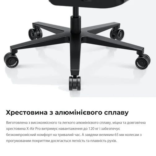 Фото: Крісло Anda Seat X-Air Pro Size XL Mesh Space Black (AD-WY-01-BBB-B01) № 37 | KTC