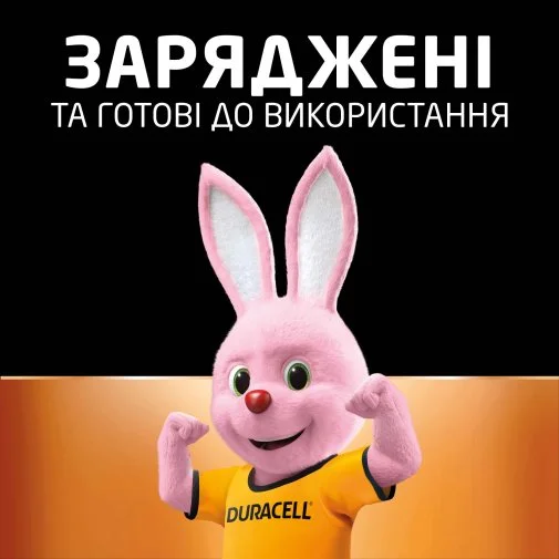 Фото: Акумулятор Duracell Rechargeable HR6 AA 1300mAh BL/4 (5007324) № 12 | KTC