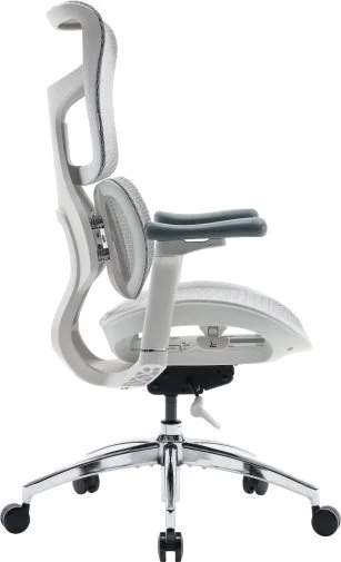 Фото: Крісло SIHOO Doro S100 White (S100-M302) № 23 | KTC