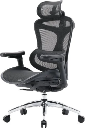 Фото: Крісло SIHOO Doro C300L Black (DORO-C300L-A3-101) № 21 | KTC