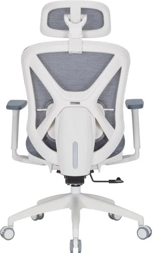 Фото: Крісло OfficePro Atlas OC630-W-DG-DG White/Dark Gray № 21 | KTC