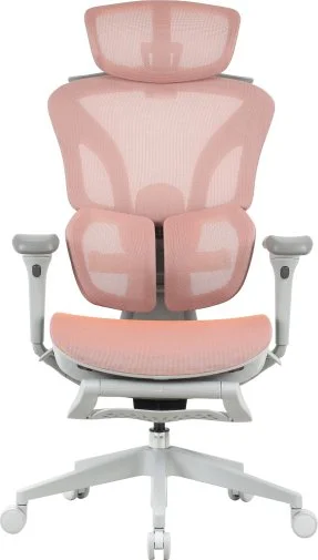 Фото: Крісло OfficePro Elite OC950GLP Gray/Light Pink № 24 | KTC