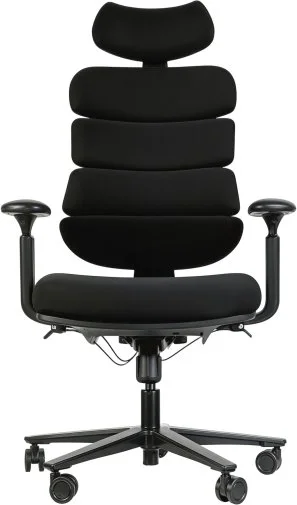 Фото: Крісло OfficePro FlexCore OC120B Black № 17 | KTC