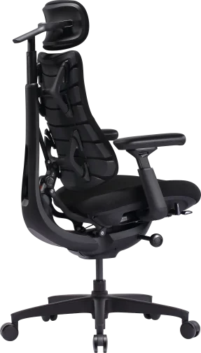 Фото: Крісло LiberNovo Omni SE Obsidian 48cm (CP-GW-1000075-00-03) № 21 | KTC