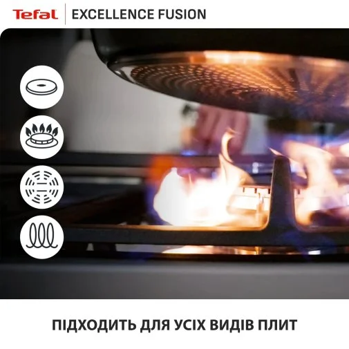 Фото: Сковорода Tefal Excellence Fusion 30cm Black (G3380702) № 26 | KTC