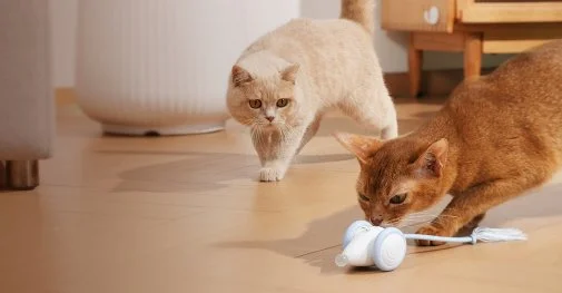 Фото: Інтерактивна розумна іграшка-мишка для котів Cheerble Wicked Mouse Blue (CWJ03B) № 31 | KTC