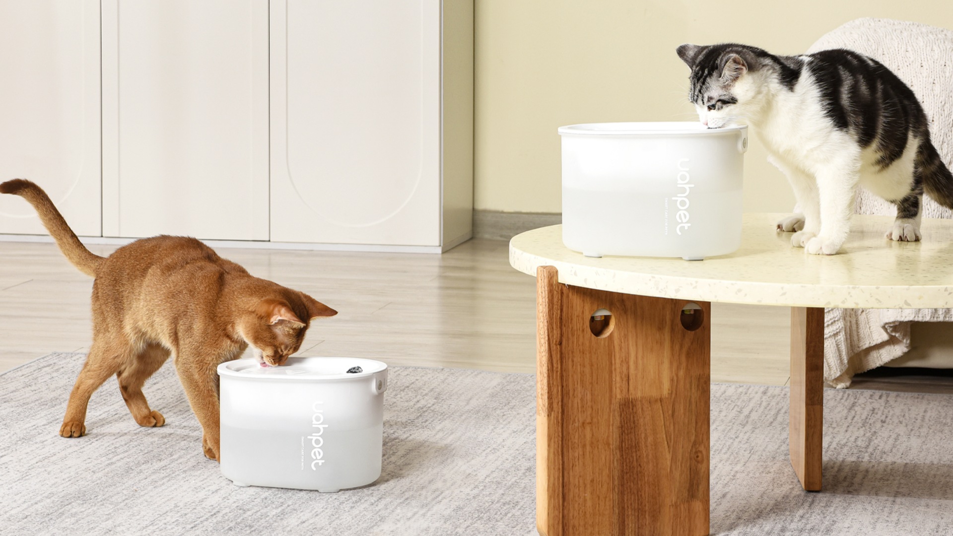 Uahpet Glow Wireless Pet Fountain — інтелектуальний котячий фонтан