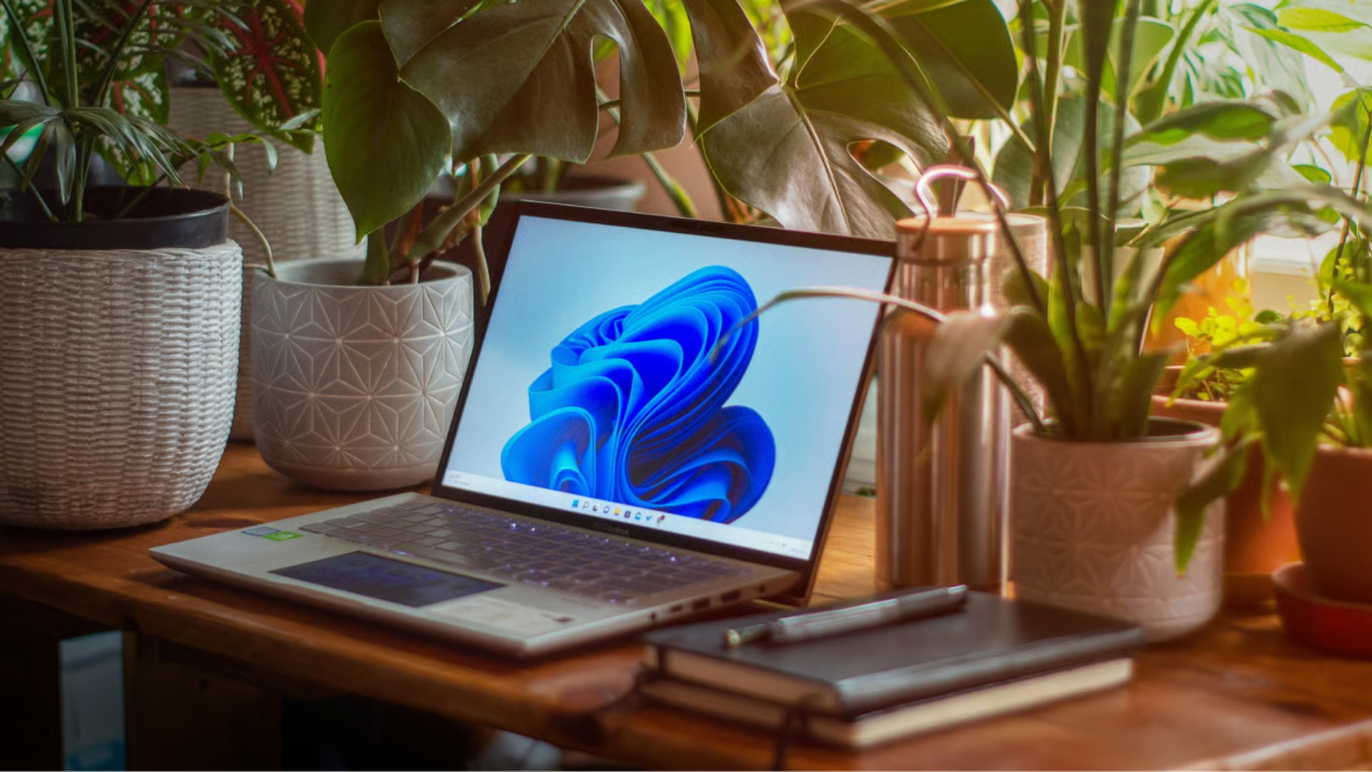Ноутбук гальмує: як звільнити місце на Mac і Windows