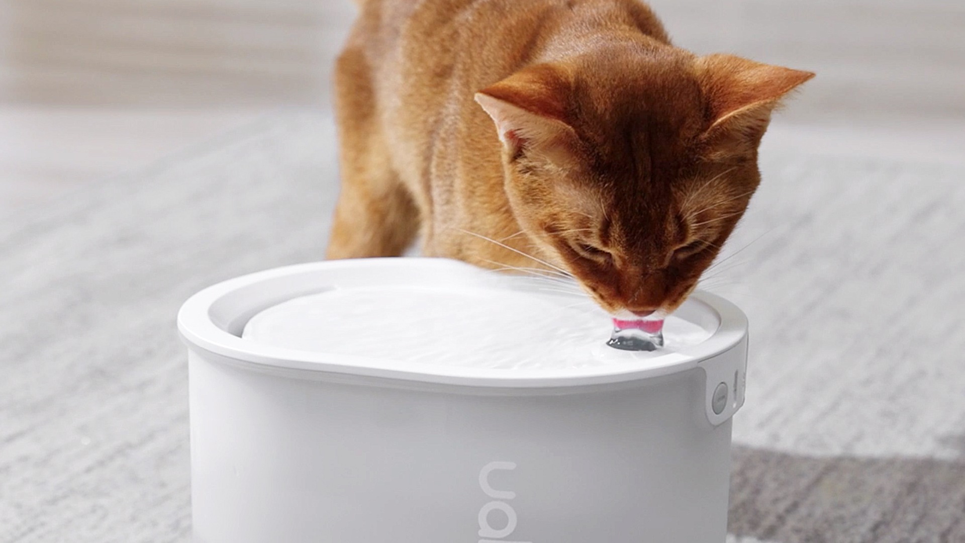 Uahpet Glow Wireless Pet Fountain — інтелектуальний котячий фонтан
